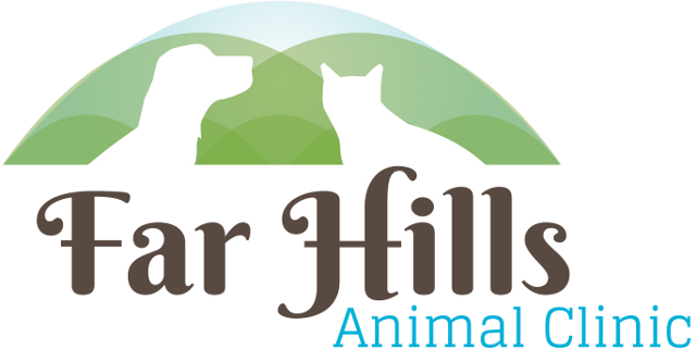 Home | Veterinarian in Dayton, OH | Far Hills Animal Clinic